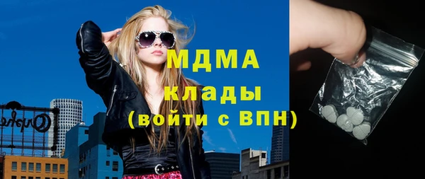 индика Алексин