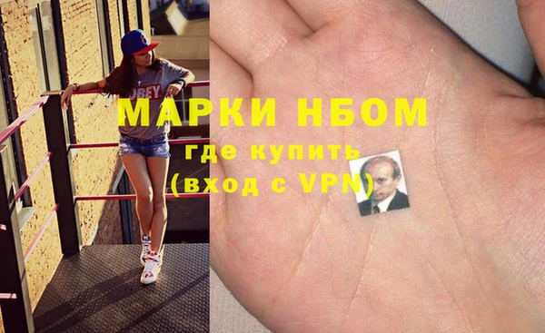 индика Алексин