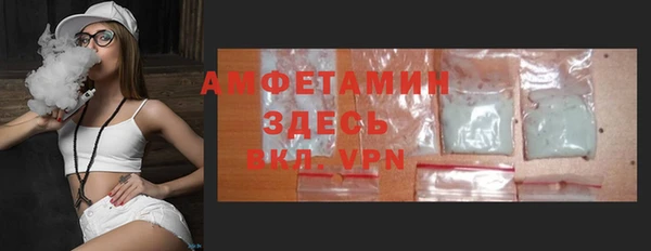 индика Алексин