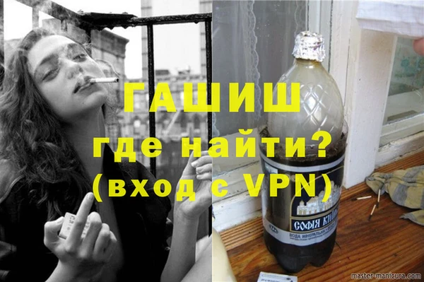 индика Алексин