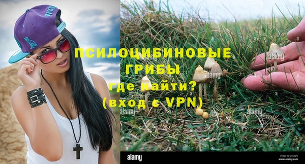 метадон Алзамай