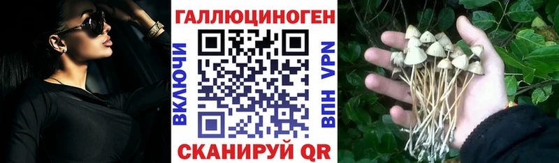 Псилоцибиновые грибы прущие грибы Чишмы